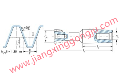 Shank-type gear shaper cutter with DIN 3972/II